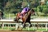 Raging Torrent and jockey Lanfranco Dettori win the Grade I $300,000 Malibu Stakes Thursday, December 26, 2024 at Santa Anita Park, Arcadia, CA.
Benoit Photo