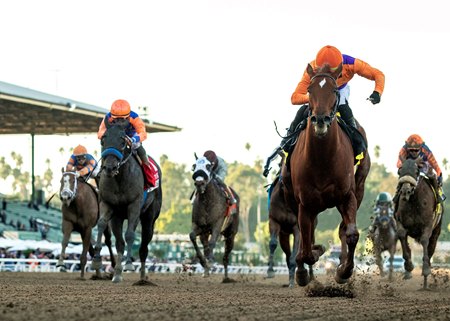 Kopion races to the finish in the La Brea Stakes on opening day of the winter-spring meet at Santa Anita Park