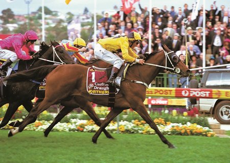 Northerly wins the 2001 Cox Plate at Moonee Valley Racecourse