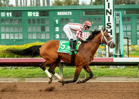 Journalism and jockey Umberto Rispoli flash under the wire in the Los Alamitos Futurity at Los Alamitos Race Course