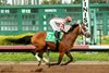 Journalism and jockey Umberto Rispoli win the Grade II, $200,000 Los Alamitos Futuerity, Saturday, December 14, 2024 at Los Alamitos Race Course, Cypress CA.
&#169; BENOIT PHOTO