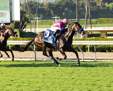 Johannes wins the City of Hope Mile Stakes at Santa Anita Park