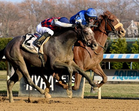 Poster (inside) holds off Aviator Gui to win the Remsen Stakes at Aqueduct Racetrack