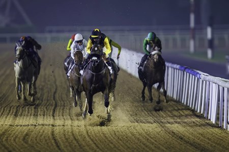 Tuz wins the Al Garhoud Sprint at Meydan Racecourse