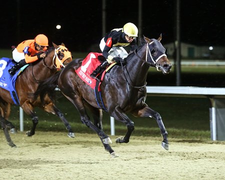 Howard Wolowitz wins the Holiday Cheer Stakes at Turfway Park