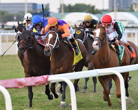 Major Dude (center) prevails in the Ft. Lauderdale Stakes at Gulfstream Park