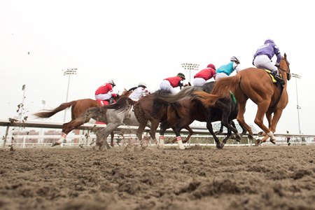 Racing at Woodbine