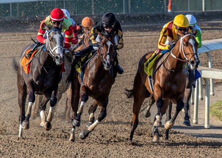 Blue Fire leads en route to victory in the Louisiana Champions Day Lassie at Fair Grounds Race Course