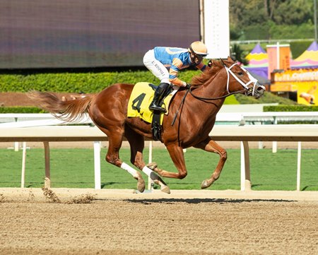 Accuracy wins a maiden special weight at Santa Anita Park