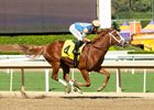 Accuracy - MSW - Santa Anita - 101924