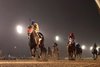 C W Prize wins the 2024 Jeffrey A. Hawk Memorial Stakes at Remington Park