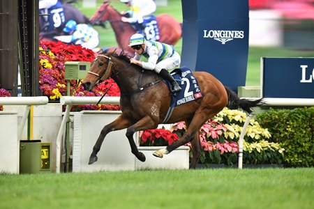 Voyage Bubble wins the 2024 Hong Kong Mile at Sha Tin Racecourse