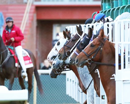 Horses break from the gate at Oaklawn Park