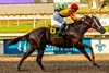 12/14/2024 - Smoked Wicked with Colby Hernandez aboard wins the 34th running of the Louisiana Champions Day Juvenile at Fair Grounds.  Hodges Photography / Lou Hodges, Jr.