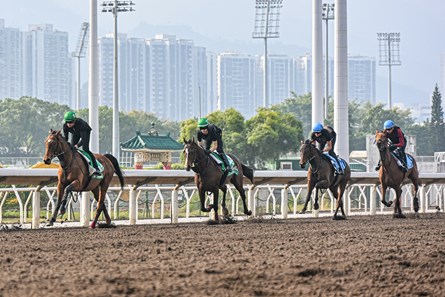 Content (first right) and Wingspan (second right), Continuous (Second left), Luxembourg (First left), Sha Tin, December 6 2024 