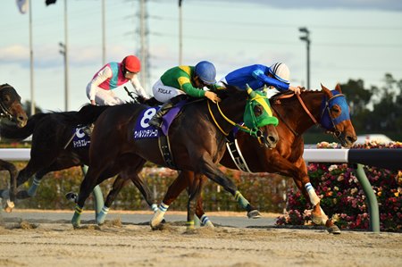 Lemon Pop (blue silks) holds off the late challenge of Wilson Tesoro to win the Champions Cup at Chukyo Racecourse.