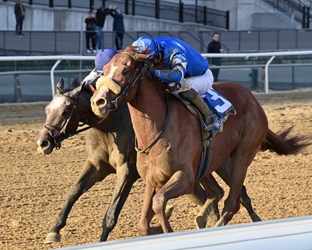 Poster (inside) wins the 2024 Remsen Stakes at Aqueduct Racetrack