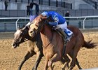 Poster wins the 2024 Remsen Stakes at Aqueduct Racetrack