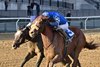 Poster wins the 2024 Remsen Stakes at Aqueduct Racetrack