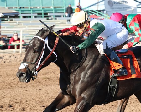 Take Charge Tom prevails in the Lost in the Fog Juvenile Stakes at Turf Paradise