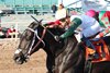 Take Charge Tom wins the 2024 Lost in the Fog Juvenile Stakes at Turf Paradise