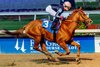 12/21/2024 - Her Laugh with Axel Concepcion aboard wins the 4th running of the Untapable Stakes at Fair Grounds.  Hodges Photography / Lou Hodges, Jr.