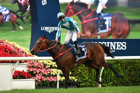 Romantic Warrior Leads Near-Sweep for Hong Kong Runners