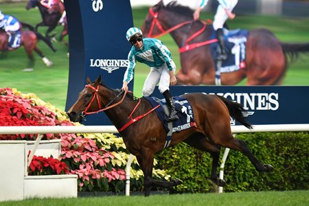 Romantic Warrior wins the Hong Kong Cup at Sha Tin, his third victory in the race