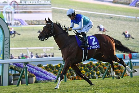 Admire Zoom wins the Asahi Hai Futurity Stakes at Kyoto Racecourse