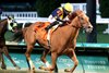 SCOTLAND wins the 2024 Cherokee Mile Stakes at Churchill Downs