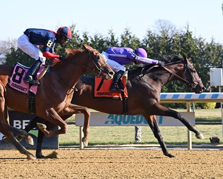 Treaty of Rome breaks his maiden in 2024 at Aqueduct Racetrack