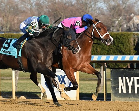 Sacrosanct (inside) wins the Great White Way Division of the New York Stallion Series Stakes at Aqueduct Racetrack