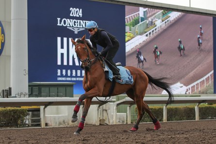 Content, Sha Tin, December 5 2024