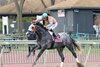 National Law #8 ridden by Paco Lopez drifted all the way to the outside rail but still held on to win a $50,000 maiden special weight on December 3, 2024 at Parx Racing in Bensalem, PA. The two-year-old son of Constitution is trained by Jorge Duarte, Jr., for Colts Neck Stables LLC. Photo by Nikki Sherman/EQUI-PHOTO.