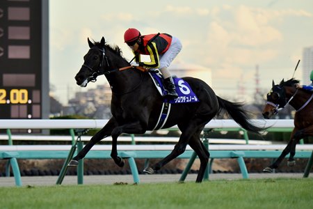 Croix du Nord wins the Hopeful Stakes at Nakayama Racecourse