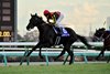 Croix du Nord wins the 2024 Hopeful Stakes at Nakayama Racecourse
ridden by Yuichi Kitamura, trained by Takashi Saito, and owned by Sunday Racing