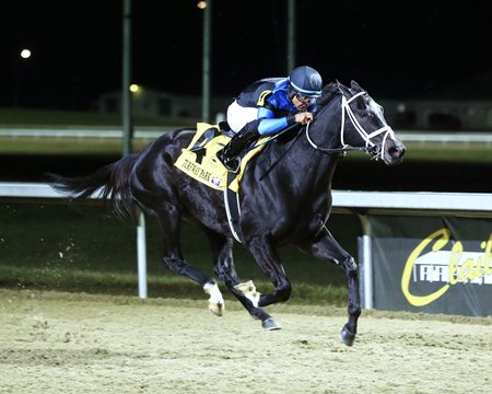 Dana's Beauty wins the My Charmer Stakes at Turfway Park