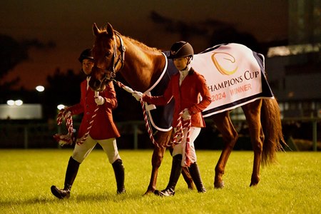 Lemon Pop is paraded at his retirement ceremony at Chukyo Racecourse