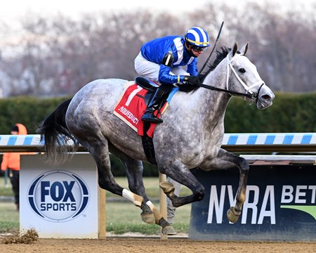 Muhimma wins the Demoiselle Stakes at Aqueduct Racetrack