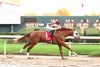 American Promise, race 10, Oaklawn, December 29, 2024