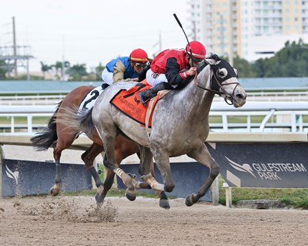 Rocket Can wins the Harlan's Holiday Stakes at Gulfstream Park