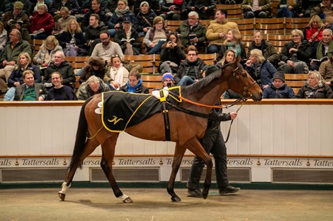 Amo Racing Lands Irish Oaks Heroine You Got To Me