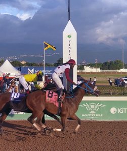 Funcaandun wins the Mouttet Mile at Caymanas Park