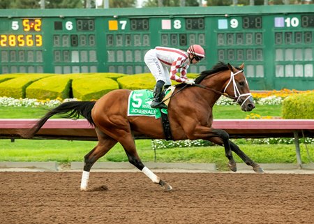 Journalism wins the Los Alamitos Futurity at Los Alamitos Race Course