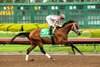 Journalism and jockey Umberto Rispoli win the Grade II, $200,000 Los Alamitos Futuerity, Saturday, December 14, 2024 at Los Alamitos Race Course, Cypress CA.
&#169; BENOIT PHOTO