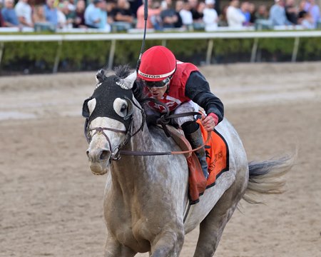 Rocket Can wins the 2024 Harlan's Holiday Stakes at Gulfstream Park