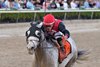 Rocket Can, Harlan&#39;s Holiday Stakes, Gulfstream, December 21, 2024