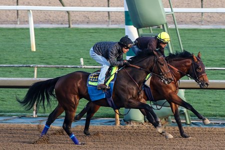 Citizen Bull works inside of Richi at Santa Anita Park