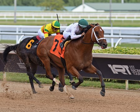 Tappan Street scores in his debut at Gulfstream Park