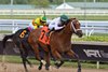 Tappan Street, Maiden Win, Gulfstream Park, December 28 2024